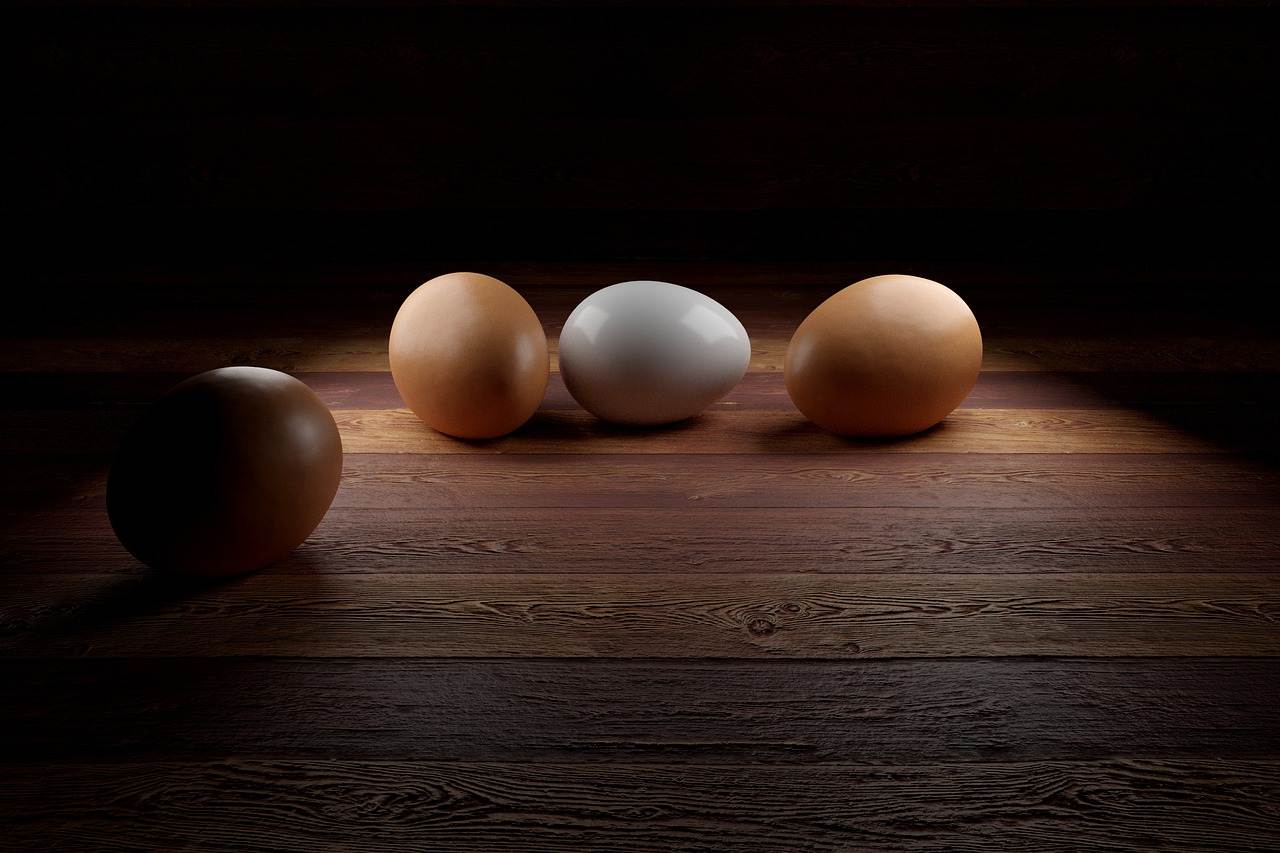 egg, gepelltes egg, 3d egg