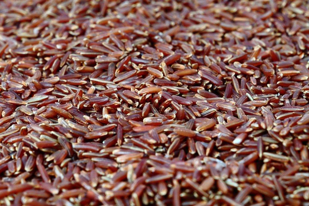red rice, rice, healthy