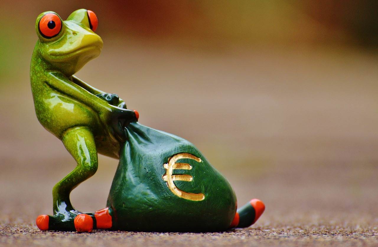 frog, money, euro-1234781.jpg